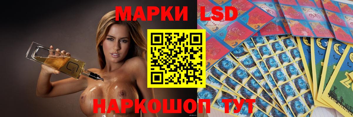 Бошки Шишки Прохладный