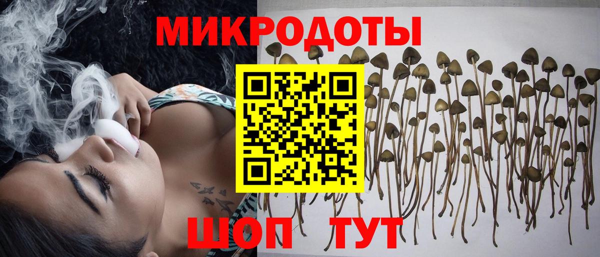 Галлюциногенные грибы мухоморы  Псилоцибиновые грибы Psilocybe  Вход с VPN  Прохладный 